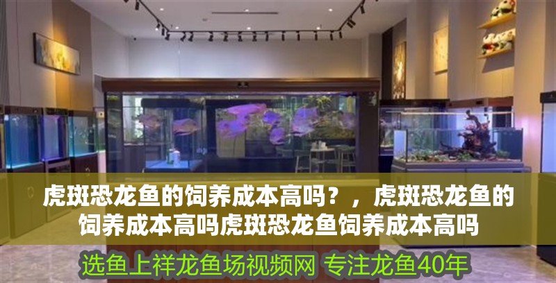 虎斑恐龍魚的飼養成本高嗎？，虎斑恐龍魚的飼養成本高嗎虎斑恐龍魚飼養成本高嗎
