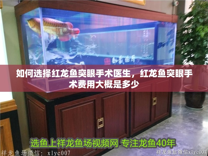 如何選擇紅龍魚突眼手術醫生，紅龍魚突眼手術費用大概是多少
