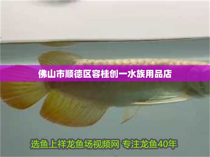 佛山市順德區(qū)容桂創(chuàng)一水族用品店