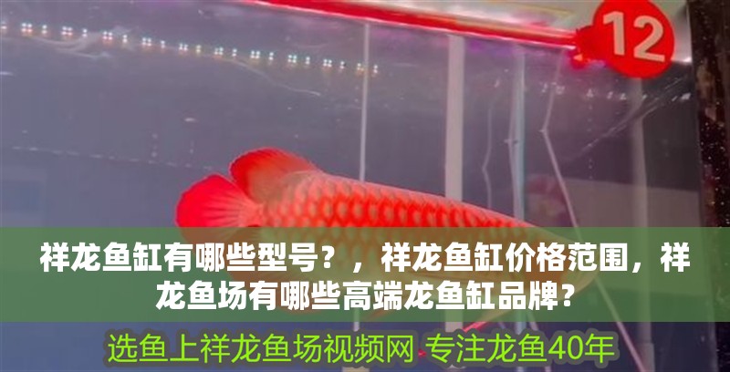 祥龍魚缸有哪些型號？，祥龍魚缸價格范圍，祥龍魚場有哪些高端龍魚缸品牌？ 祥龍魚缸有哪些型號？，祥龍魚缸價格范圍，祥龍魚場有哪些高端龍魚缸品牌？ 龍魚百科