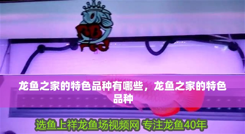 龍魚之家的特色品種有哪些，龍魚之家的特色品種 龍魚之家的特色品種有哪些，龍魚之家的特色品種 龍魚百科