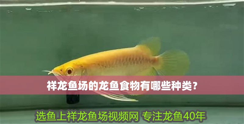 祥龍魚場的龍魚食物有哪些種類？ 祥龍魚場的龍魚食物有哪些種類？ 龍魚百科