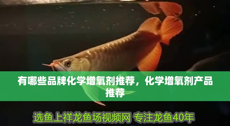 有哪些品牌化學增氧劑推薦，化學增氧劑產品推薦
