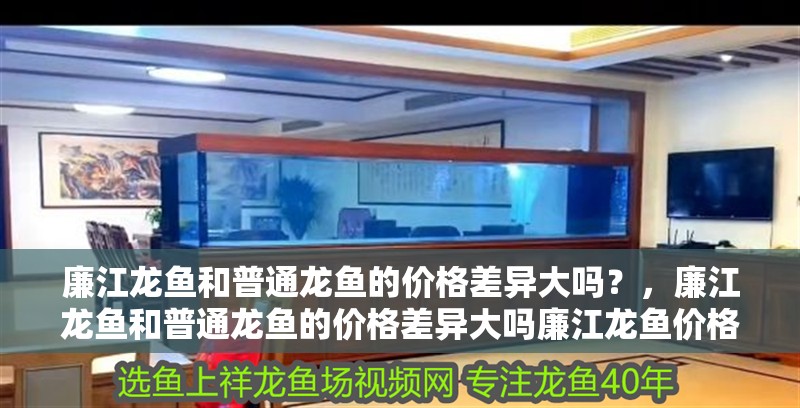 <strong><mark>廉江</mark></strong>龍魚(yú)和普通龍魚(yú)的價(jià)格差異大嗎？，<strong><mark>廉江</mark></strong>龍魚(yú)和普通龍魚(yú)的價(jià)格差異大嗎<strong><mark>廉江</mark></strong>龍魚(yú)價(jià)格差異大嗎