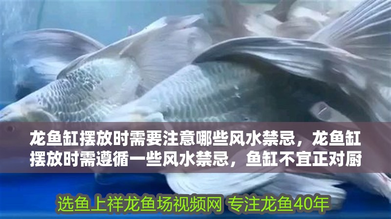 龍魚缸擺放時需要注意哪些風水禁忌，龍魚缸擺放時需遵循一些風水禁忌，魚缸不宜正對廚房門 龍魚缸擺放時需要注意哪些風水禁忌，龍魚缸擺放時需遵循一些風水禁忌，魚缸不宜正對廚房門 龍魚百科