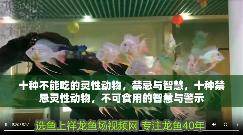 十種不能吃的靈性動物，禁忌與智慧，十種禁忌靈性動物，不可食用的智慧與警示