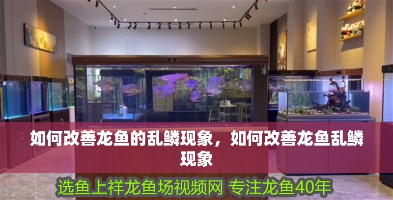 如何改善龍魚(yú)的亂鱗現(xiàn)象，如何改善龍魚(yú)亂鱗現(xiàn)象