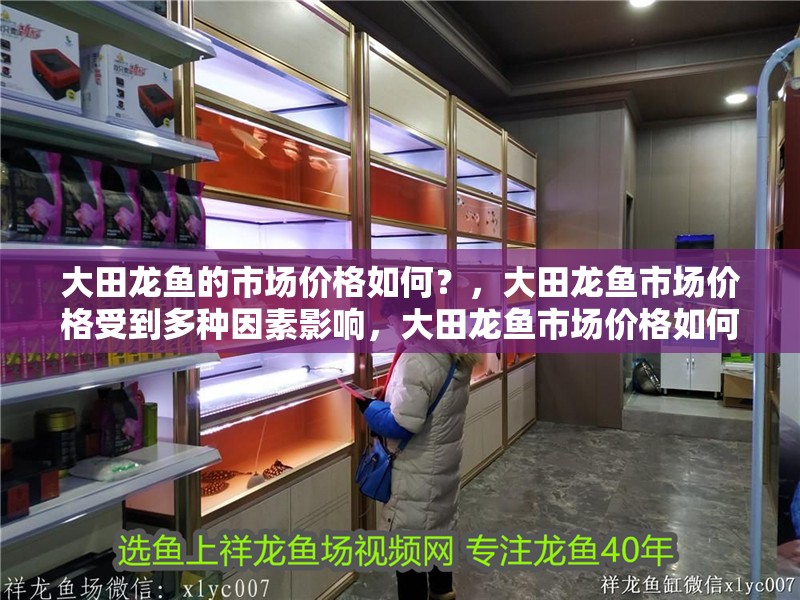 <strong><mark>大田</mark></strong>龍魚(yú)的市場(chǎng)價(jià)格如何？，<strong><mark>大田</mark></strong>龍魚(yú)市場(chǎng)價(jià)格受到多種因素影響，<strong><mark>大田</mark></strong>龍魚(yú)市場(chǎng)價(jià)格如何