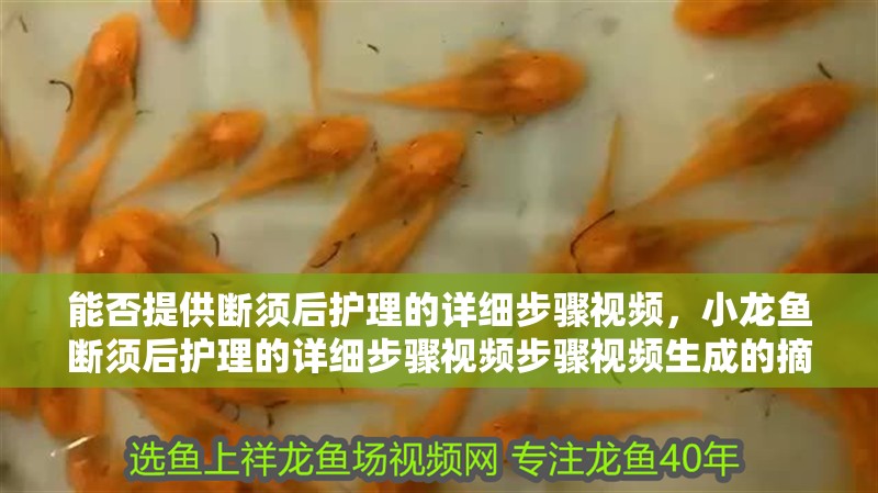能否提供斷須后護理的詳細步驟視頻，小龍魚斷須后護理的詳細步驟視頻步驟視頻生成的摘要