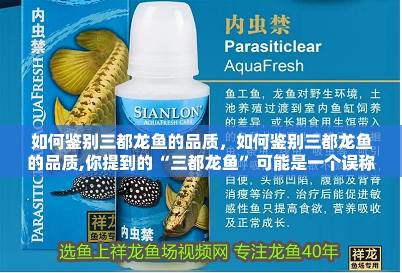 如何鑒別<strong><mark>三都</mark></strong>龍魚的品質(zhì)，如何鑒別<strong><mark>三都</mark></strong>龍魚的品質(zhì),你提到的“<strong><mark>三都</mark></strong>龍魚”可能是一個誤稱或地域性說法