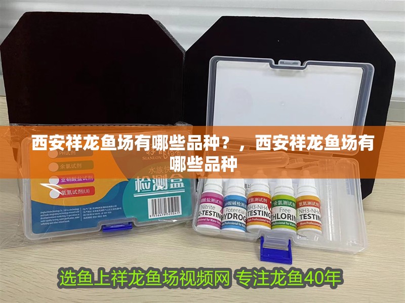 西安祥龍魚場有哪些品種？，西安祥龍魚場有哪些品種 西安祥龍魚場有哪些品種？，西安祥龍魚場有哪些品種 龍魚百科
