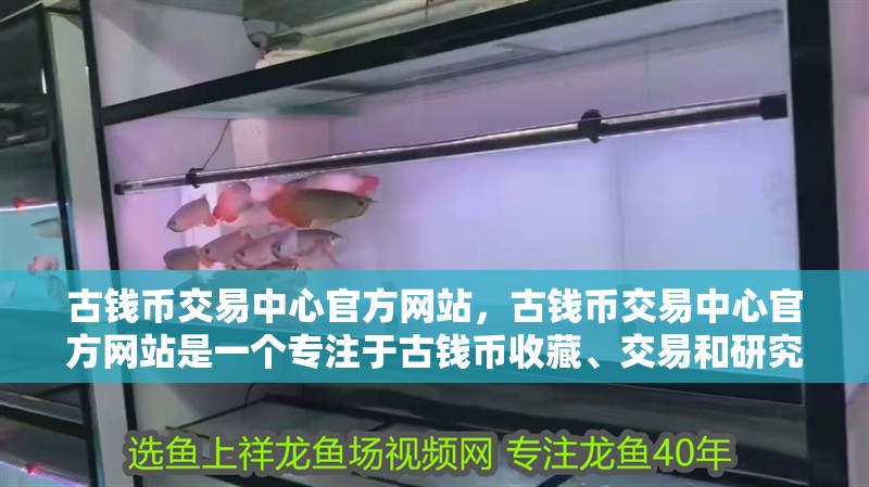 古錢幣交易中心官方網站，古錢幣交易中心官方網站是一個專注于古錢幣收藏、交易和研究的在線平臺