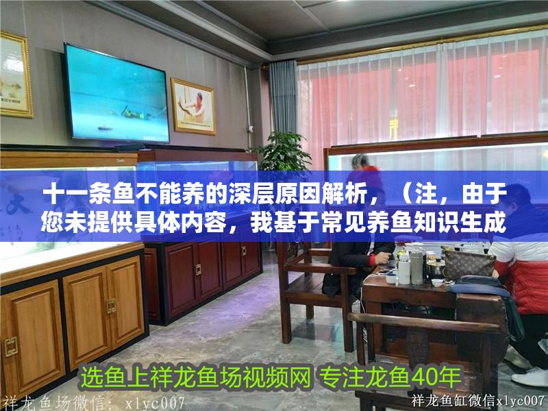 十一條魚不能養的深層原因解析，（注，由于您未提供具體內容，我基于常見養魚知識生成了一個標題。若您能補充具體信息，我可為您生成更精準的標題。）