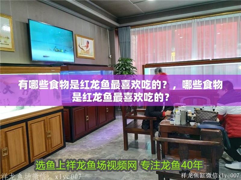 有哪些食物是紅龍魚最喜歡吃的？，哪些食物是紅龍魚最喜歡吃的？ 有哪些食物是紅龍魚最喜歡吃的？，哪些食物是紅龍魚最喜歡吃的？ 龍魚百科