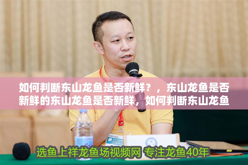 如何判斷東山龍魚是否新鮮？，東山龍魚是否新鮮的東山龍魚是否新鮮，如何判斷東山龍魚是否新鮮