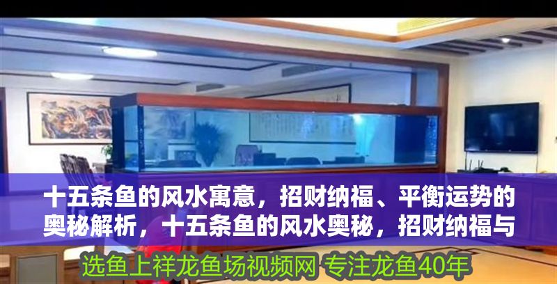 十五條魚的風水寓意，招財納福、平衡運勢的奧秘解析，十五條魚的風水奧秘，招財納福與運勢平衡全解析