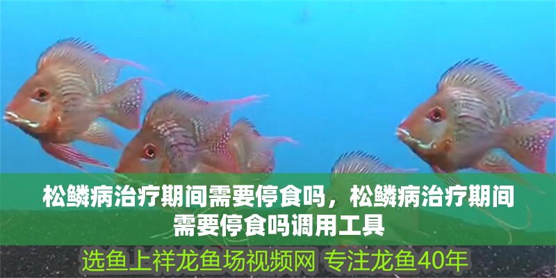 松鱗病治療期間需要停食嗎，松鱗病治療期間需要停食嗎調用工具