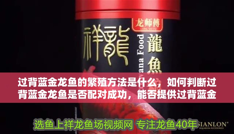 過背藍金龍魚的繁殖方法是什么，如何判斷過背藍金龍魚是否配對成功，能否提供過背藍金龍魚的繁殖視頻