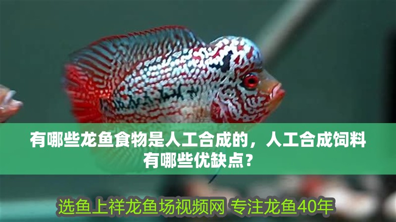 有哪些龍魚食物是人工合成的，人工合成飼料有哪些優(yōu)缺點？