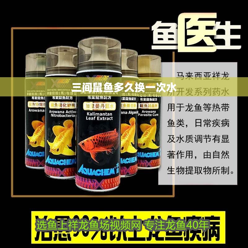 三間鼠魚多久換一次水