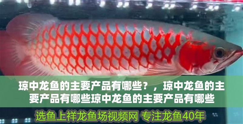 瓊中龍魚(yú)的主要產(chǎn)品有哪些？，瓊中龍魚(yú)的主要產(chǎn)品有哪些瓊中龍魚(yú)的主要產(chǎn)品有哪些