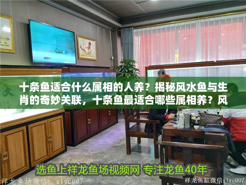 十條魚(yú)適合什么屬相的人養(yǎng)？揭秘風(fēng)水魚(yú)與生肖的奇妙關(guān)聯(lián)，十條魚(yú)最適合哪些屬相養(yǎng)？風(fēng)水魚(yú)與生肖的絕妙搭配解析