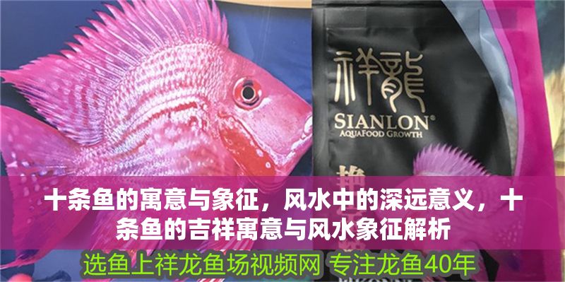 十條魚的寓意與象征，風水中的深遠意義，十條魚的吉祥寓意與風水象征解析