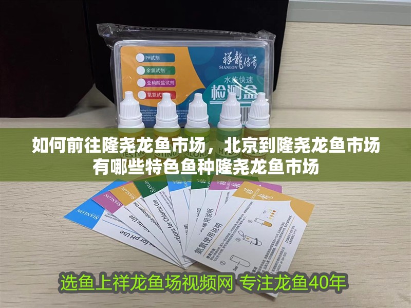 如何前往隆堯龍魚(yú)市場(chǎng)，北京到隆堯龍魚(yú)市場(chǎng)有哪些特色魚(yú)種隆堯龍魚(yú)市場(chǎng)