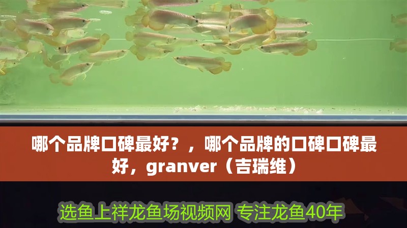 哪個品牌口碑最好？，哪個品牌的口碑口碑最好，granver（吉瑞維）