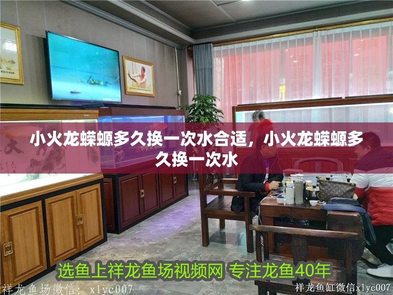 給大魚缸換水的作文:體驗給大魚缸換水的樂趣:體驗給大魚缸換水:給大魚缸換水的作文 小火龍蠑螈多久換一次水合適,小火龍蠑螈多久換一次水 龍魚百科 小火龍蠑螈多久換一次水合適,小火龍蠑螈多久換一次水 小火龍蠑螈多久換一次水合適,小火龍蠑螈多久換一次水 龍魚百科