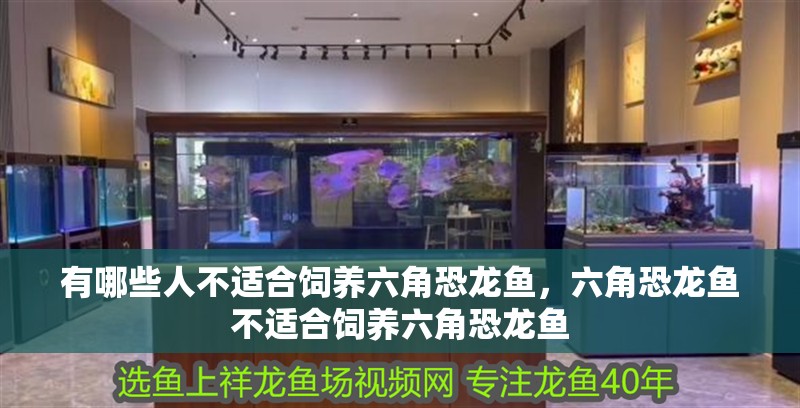 有哪些人不適合飼養六角恐龍魚，六角恐龍魚不適合飼養六角恐龍魚