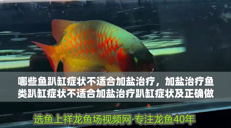 魚缸用增氧泵價格是多少:魚缸增氧機-xtrac增氧機-xtrac增氧機 哪些魚趴缸癥狀不適合加鹽治療,加鹽治療魚類趴缸癥狀不適合加鹽治療趴缸癥狀及正確做法 龍魚百科 哪些魚趴缸癥狀不適合加鹽治療,加鹽治療魚類趴缸癥狀不適合加鹽治療趴缸癥狀及正確做法 哪些魚趴缸癥狀不適合加鹽治療,加鹽治療魚類趴缸癥狀不適合加鹽治療趴缸癥狀及正確做法 龍魚百科