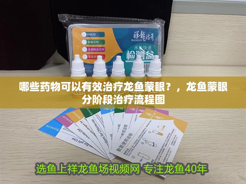 哪些藥物可以有效治療龍魚蒙眼？，龍魚蒙眼分階段治療流程圖