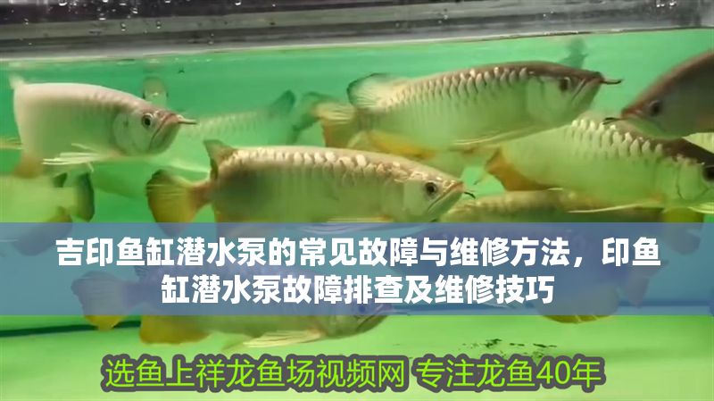 吉印魚缸潛水泵的常見故障與維修方法，印魚缸潛水泵故障排查及維修技巧