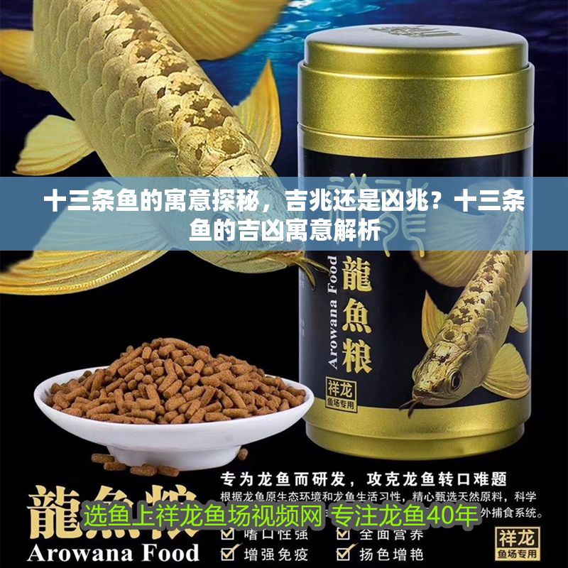 十三條魚的寓意探秘，吉兆還是兇兆？十三條魚的吉兇寓意解析