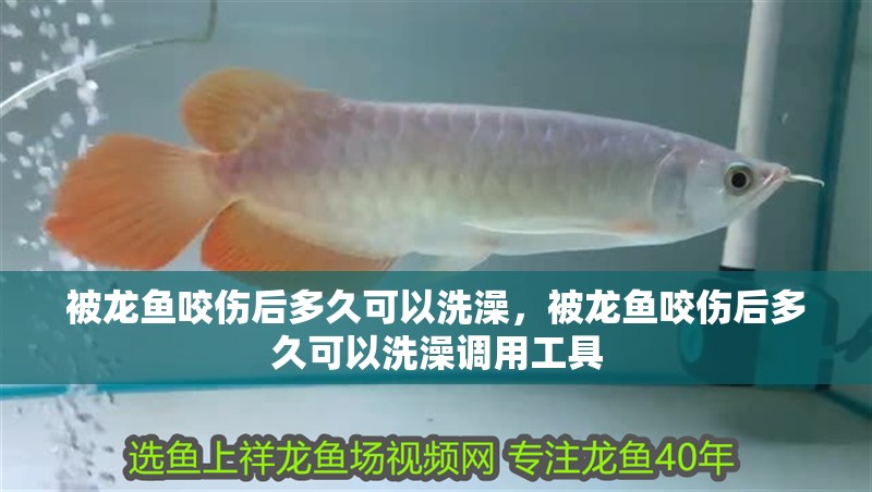 被龍魚咬傷后多久可以洗澡，被龍魚咬傷后多久可以洗澡調用工具