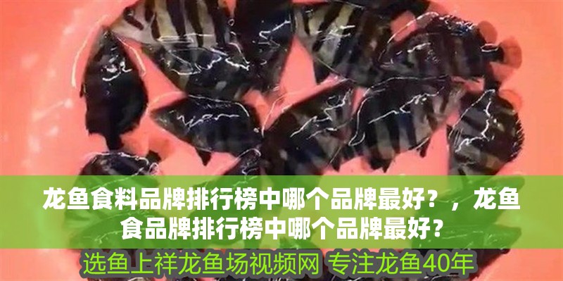 龍魚食料品牌排行榜中哪個品牌最好？，龍魚食品牌排行榜中哪個品牌最好？