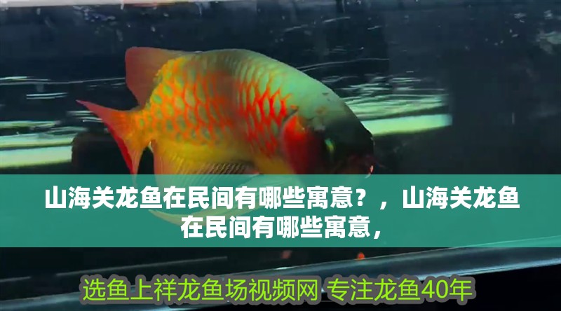 山海關龍魚在民間有哪些寓意？，山海關龍魚在民間有哪些寓意，