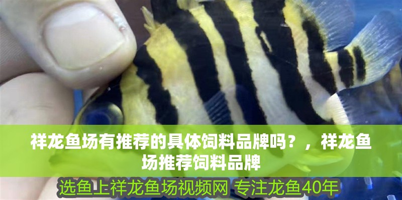 祥龍魚場有推薦的具體飼料品牌嗎？，祥龍魚場推薦飼料品牌 祥龍魚場有推薦的具體飼料品牌嗎？，祥龍魚場推薦飼料品牌 龍魚百科