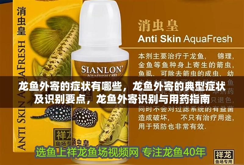 龍魚外寄的癥狀有哪些，龍魚外寄的典型癥狀及識別要點，龍魚外寄識別與用藥指南 龍魚外寄的癥狀有哪些，龍魚外寄的典型癥狀及識別要點，龍魚外寄識別與用藥指南 龍魚百科