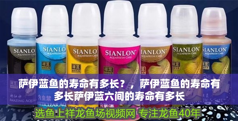 薩伊藍魚的壽命有多長？，薩伊藍魚的壽命有多長薩伊藍六間的壽命有多長