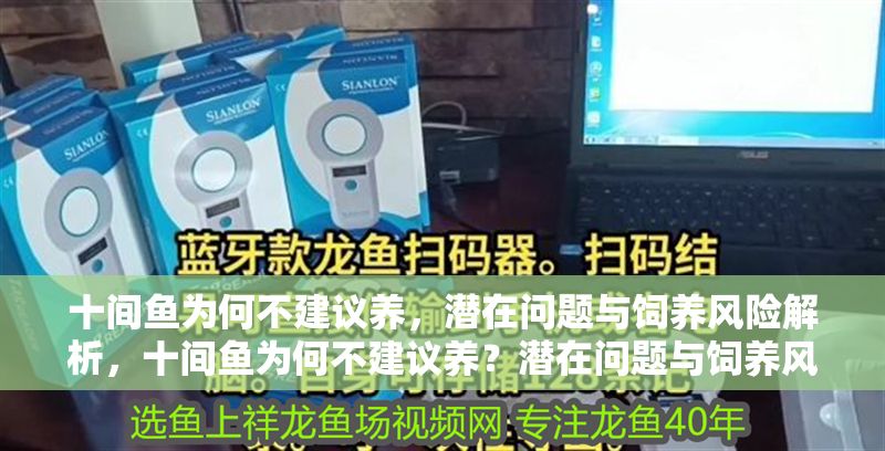 十間魚為何不建議養，潛在問題與飼養風險解析，十間魚為何不建議養？潛在問題與飼養風險全面解析 十間魚為何不建議養，潛在問題與飼養風險解析，十間魚為何不建議養？潛在問題與飼養風險全面解析 龍魚百科 第1張
