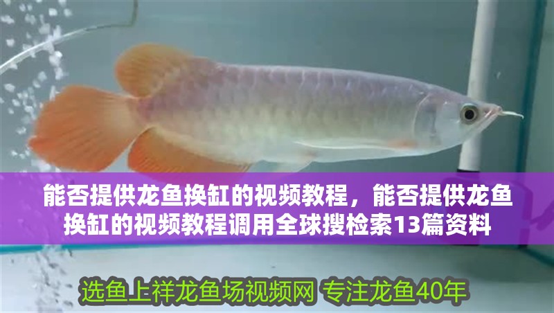 能否提供龍魚換缸的視頻教程，能否提供龍魚換缸的視頻教程調用全球搜檢索13篇資料