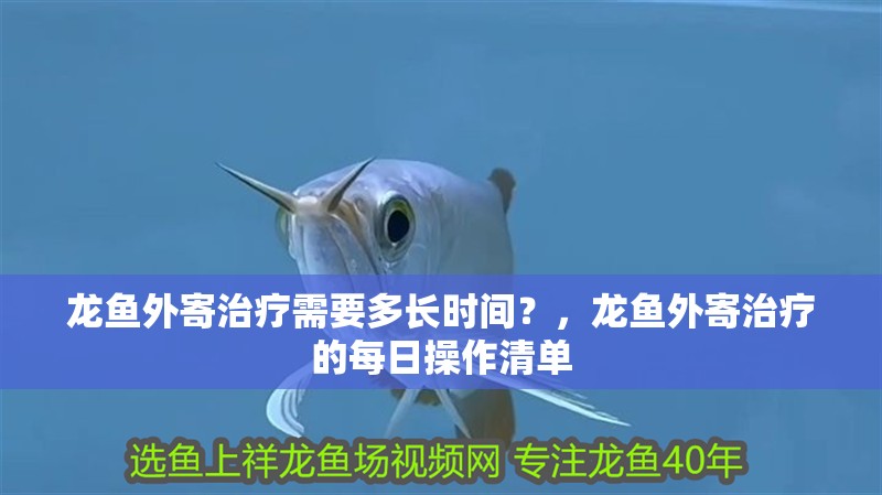 龍魚外寄治療需要多長時間？，龍魚外寄治療的每日操作清單