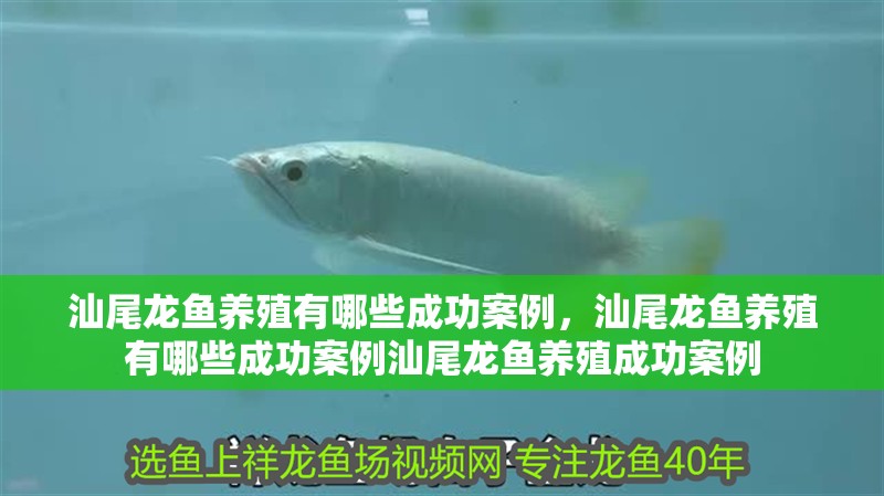 <strong><mark>汕尾</mark></strong>龍魚養殖有哪些成功案例，<strong><mark>汕尾</mark></strong>龍魚養殖有哪些成功案例<strong><mark>汕尾</mark></strong>龍魚養殖成功案例