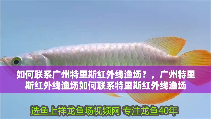 如何聯系廣州特里斯紅外線漁場？，廣州特里斯紅外線漁場如何聯系特里斯紅外線漁場