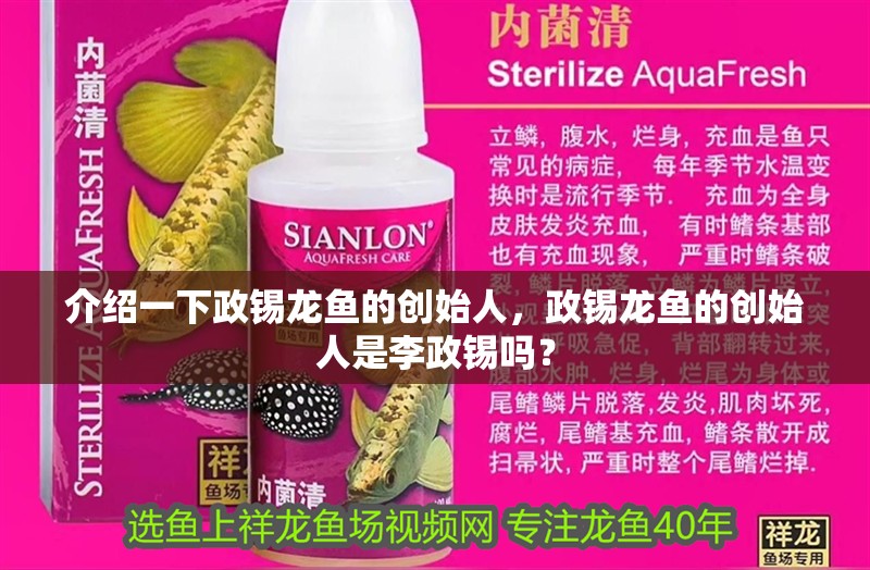 介紹一下政錫龍魚的創始人，政錫龍魚的創始人是李政錫嗎？