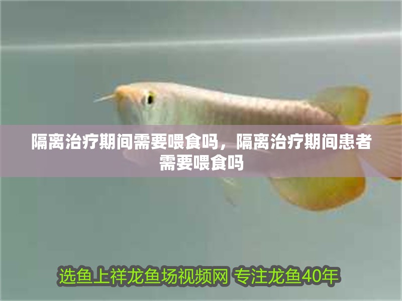 隔離治療期間需要喂食嗎，隔離治療期間患者需要喂食嗎