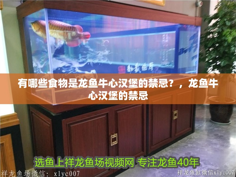 有哪些食物是龍魚牛心漢堡的禁忌？，龍魚牛心漢堡的禁忌