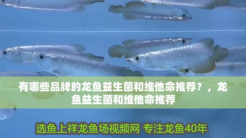有哪些品牌的龍魚益生菌和維他命推薦？，龍魚益生菌和維他命推薦